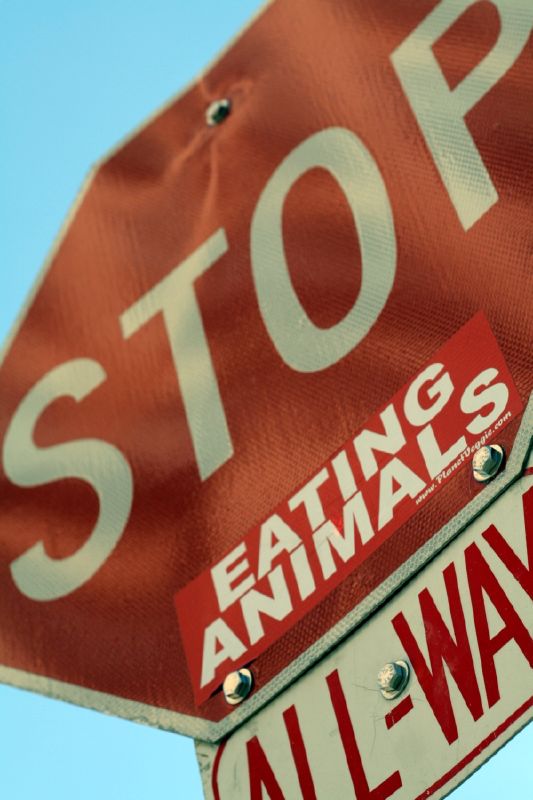 red stop sign with a sticker that says eating animals is all - way