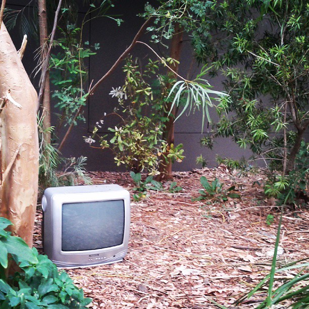 an old television sitting in the middle of the forest