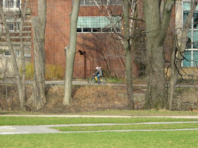 a man riding a bike in a park