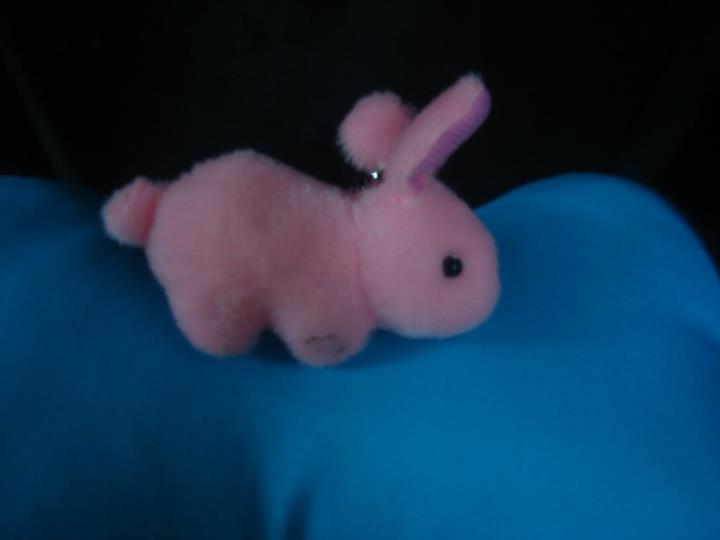 a pink stuffed animal on a blue pillow