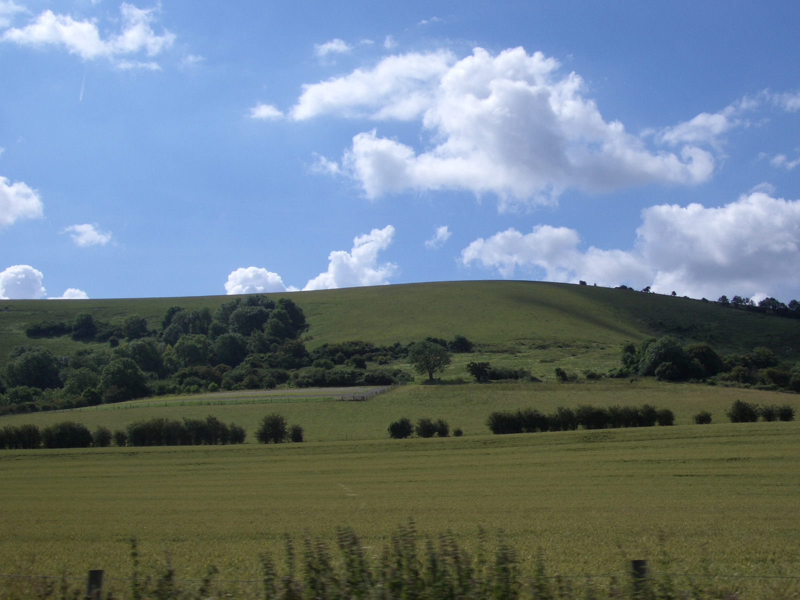 the scenery in the field is green and blue