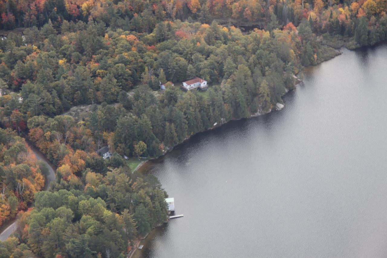 the large body of water is surrounded by trees