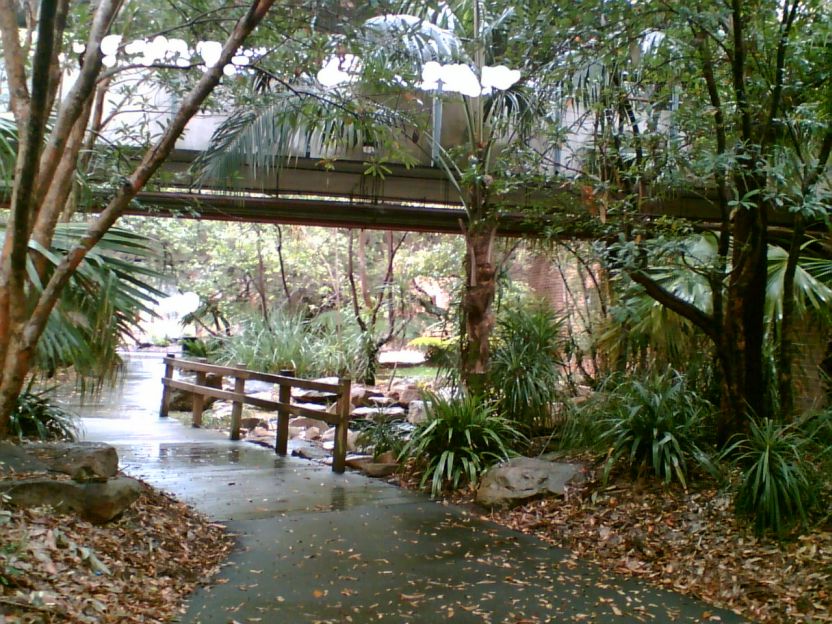 a bridge above a small waterfall surrounded by trees