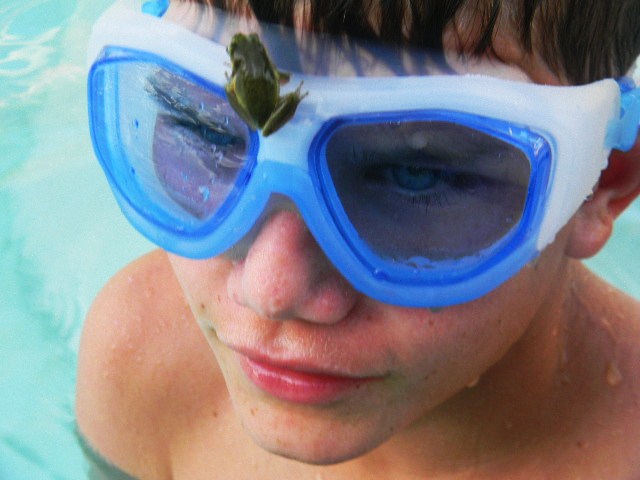 the boy with goggles is in a pool with his eye mask and a leaf attached to the goggles