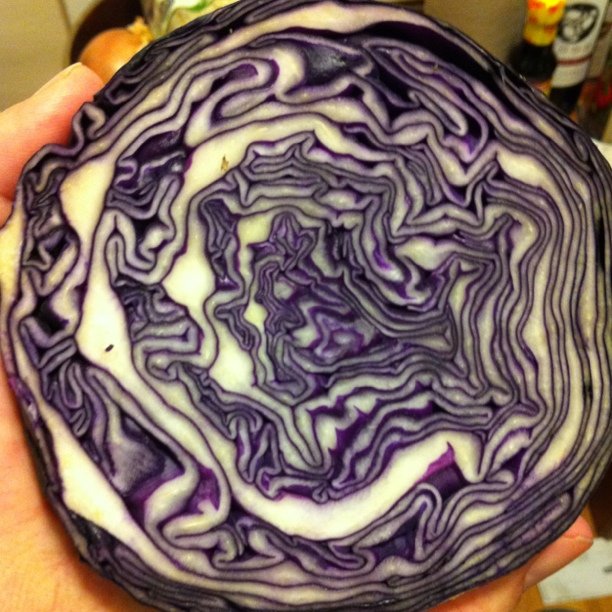 a hand holding a raw purple cabbage on a counter