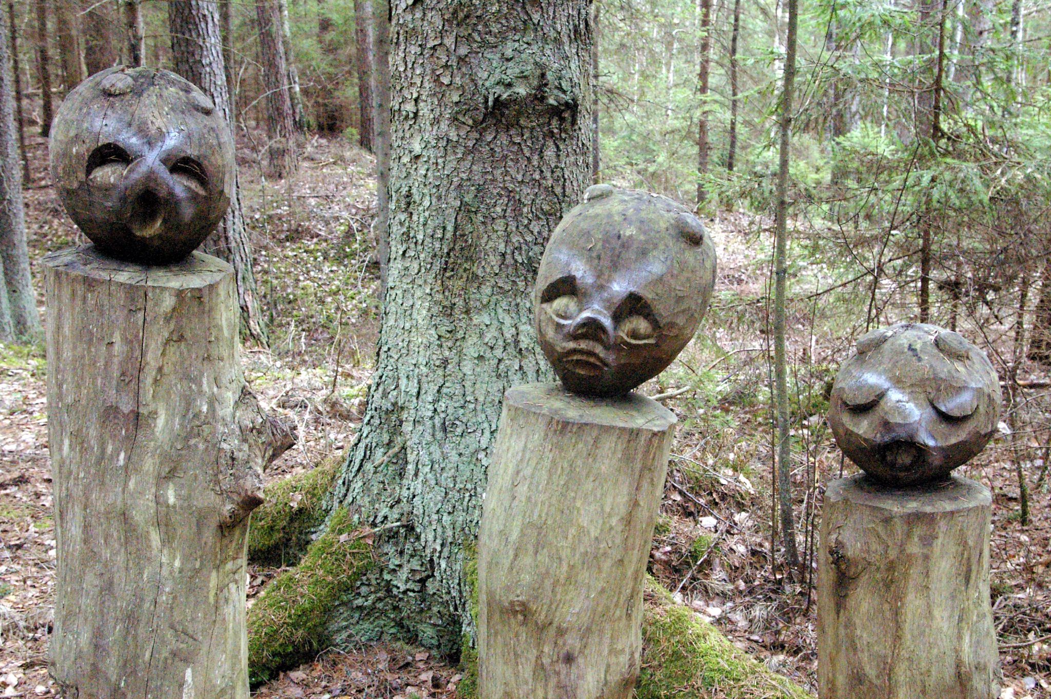 a group of wooden sculptures depicting faces of people in a forest