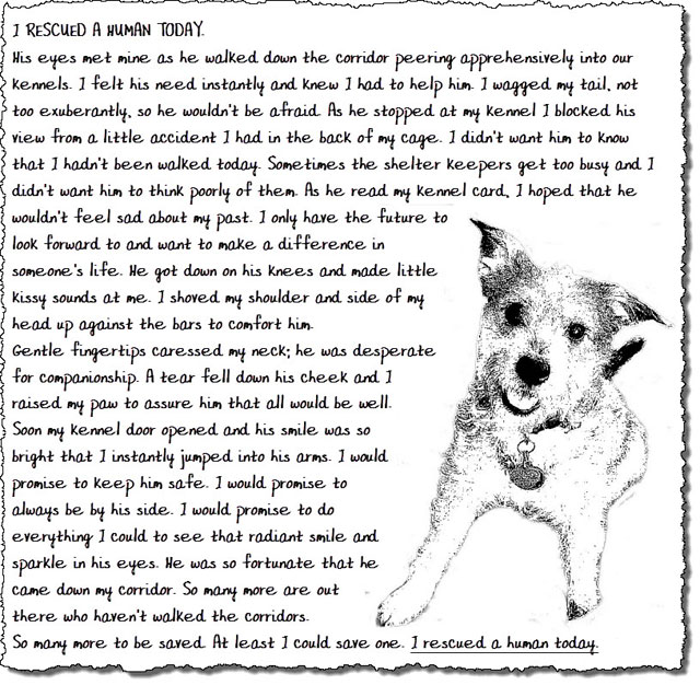 a page of poem about dogs and their love for each other