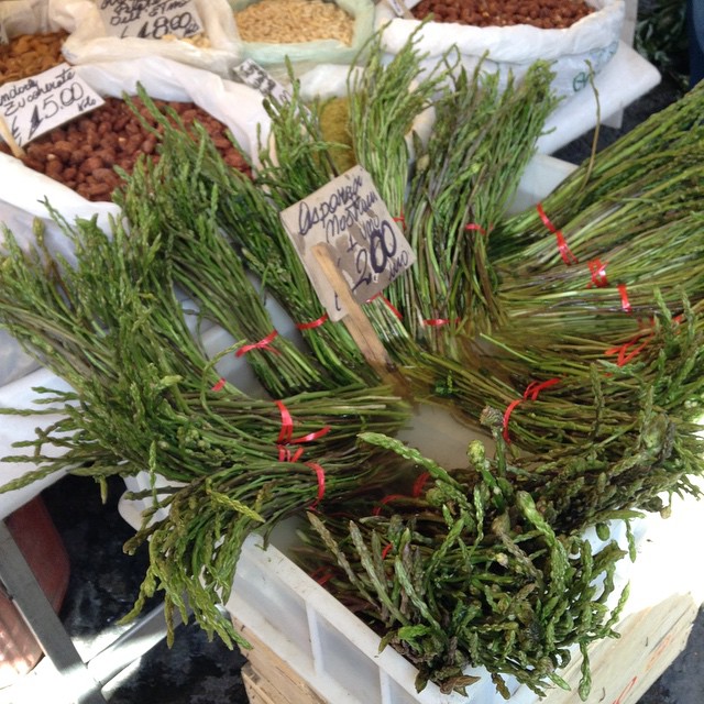 a basket filled with evergreen twigs and other greens