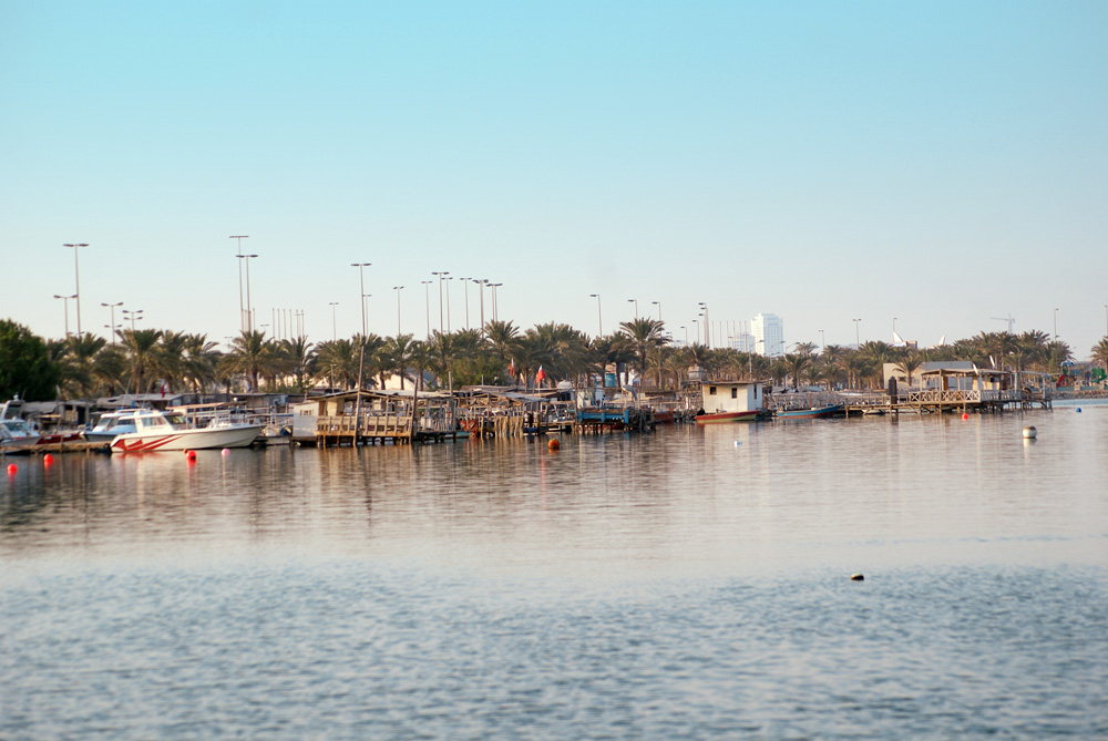 boats parked at the marina by trees on a sunny day