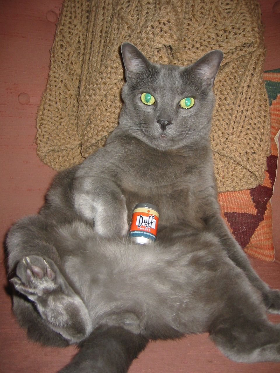 a cat laying down with food in its paws
