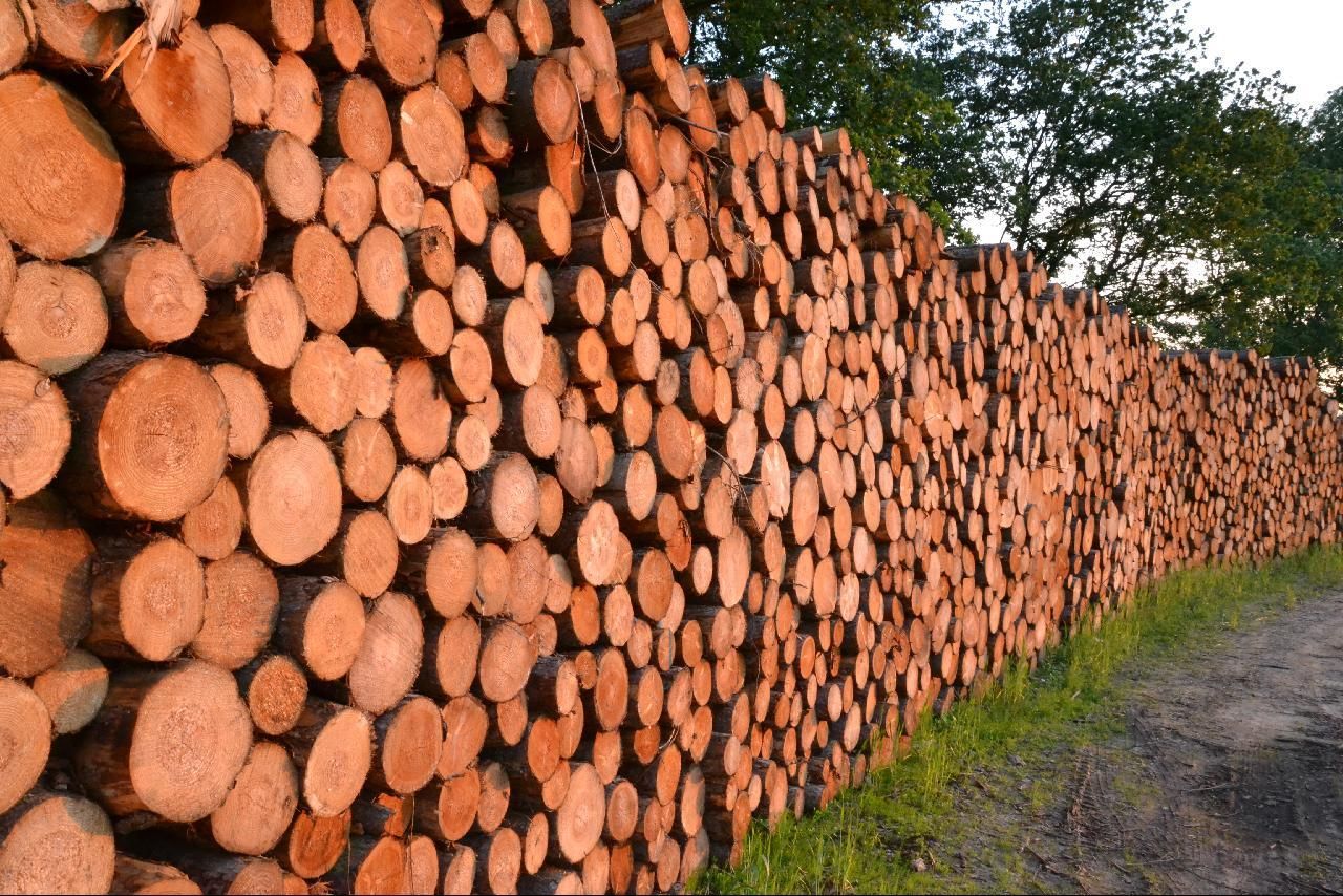 a large pile of wooden logs sits behind an off - grid fence
