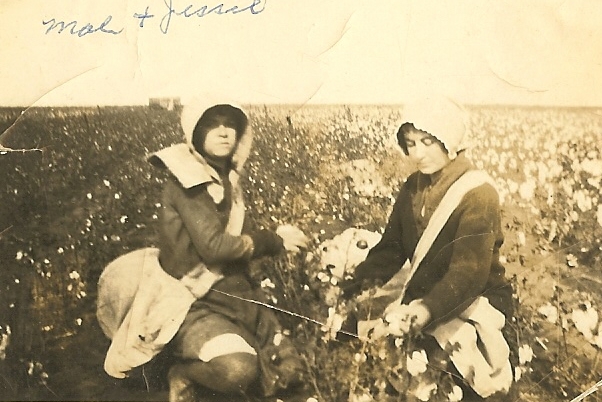 two ladies sit in a field of cotton, one of them is wearing a bonnet and another has a jacket over her shoulder