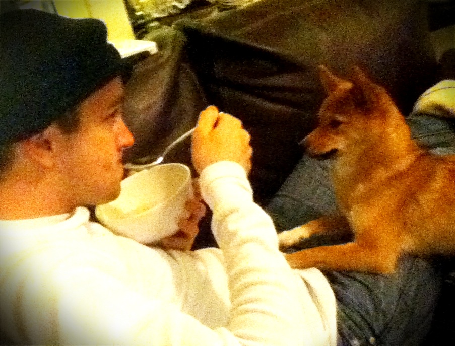 man holds out his hands for the dog as he eats it