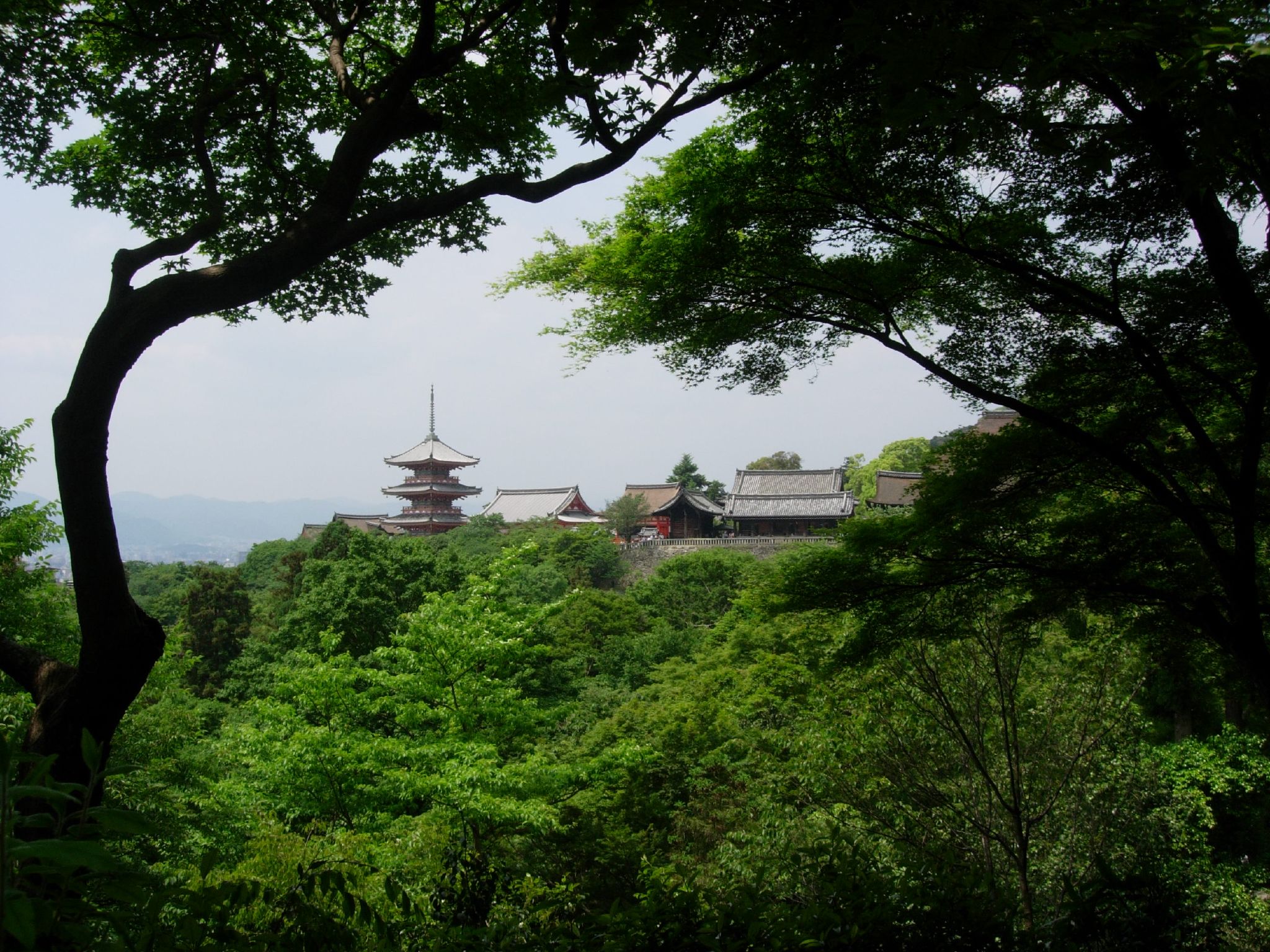 a pagoda in the background stands on top of the trees