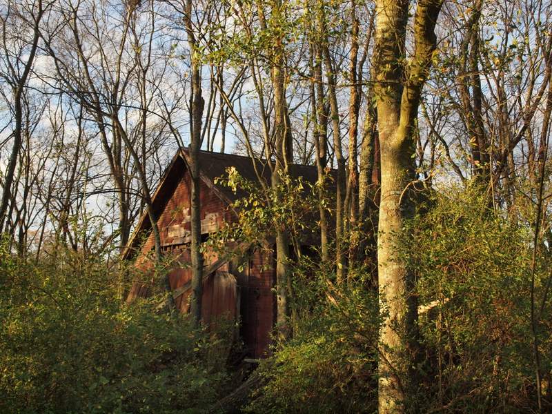 an old shed sitting in the woods