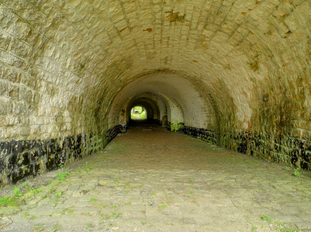 a tunnel with the entrance way to a green area