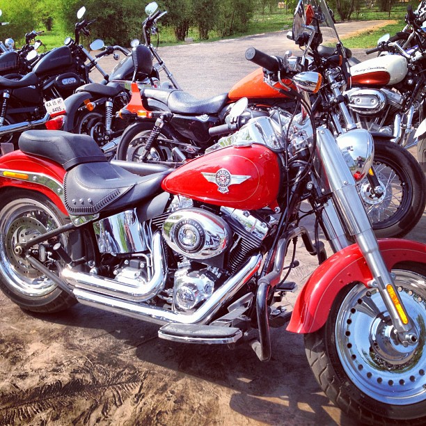 many motorcycles are parked in a row in the dirt