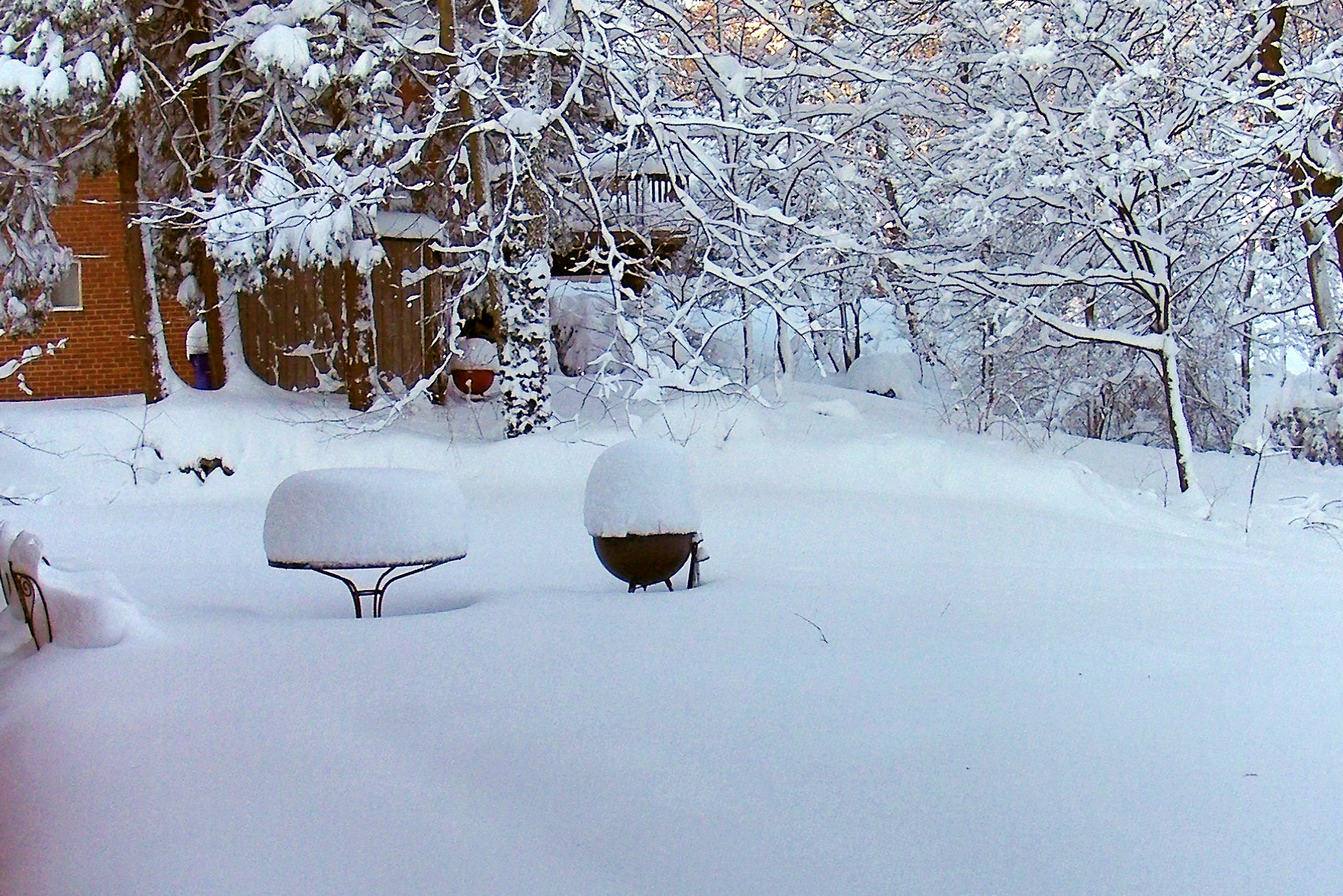 there are two large bushels near the house in the snow