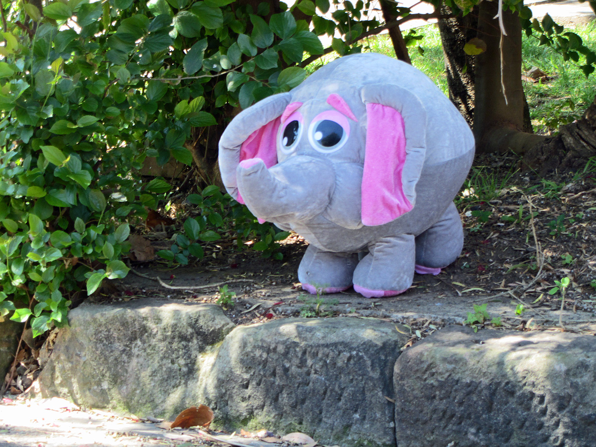 an elephant stuffed animal is in front of a bush