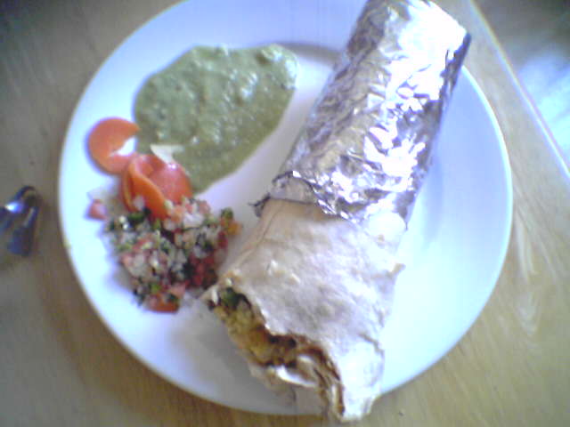 a burrito sits on a white plate next to a side salad
