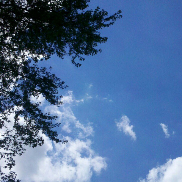 blue and white clouds in the sky with trees below
