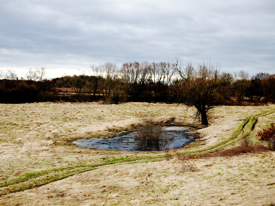 a pond in a field with no vegetation