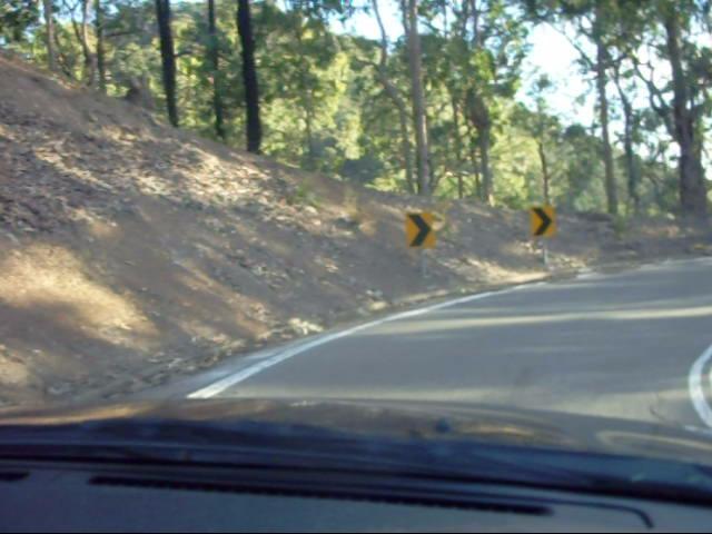 the car goes down a steep, wooded road