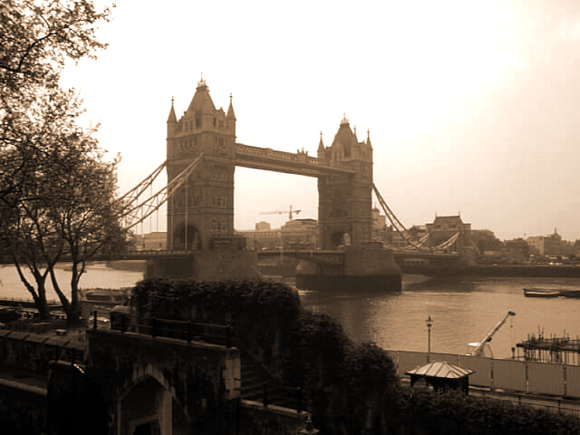 the tower bridge is in view of the city