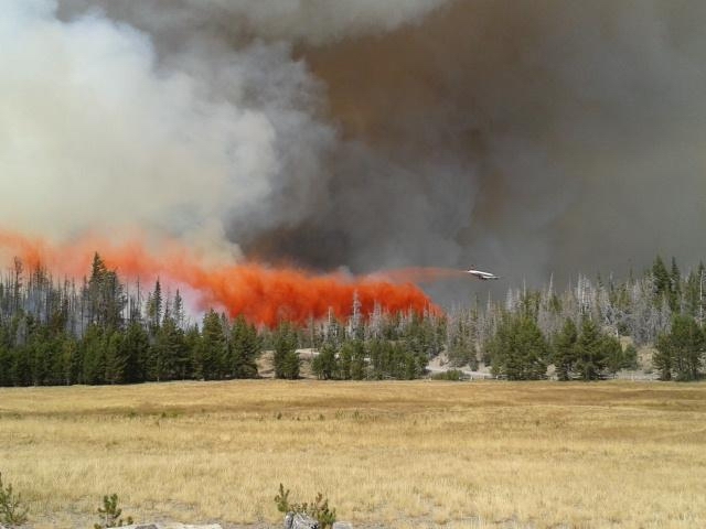 smoke rising in the air over trees and grass