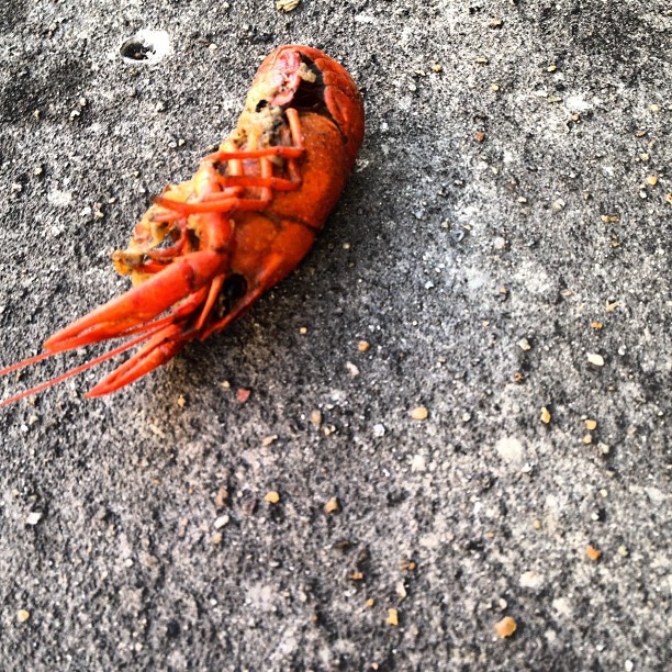 there is a large cray that is laying on the ground