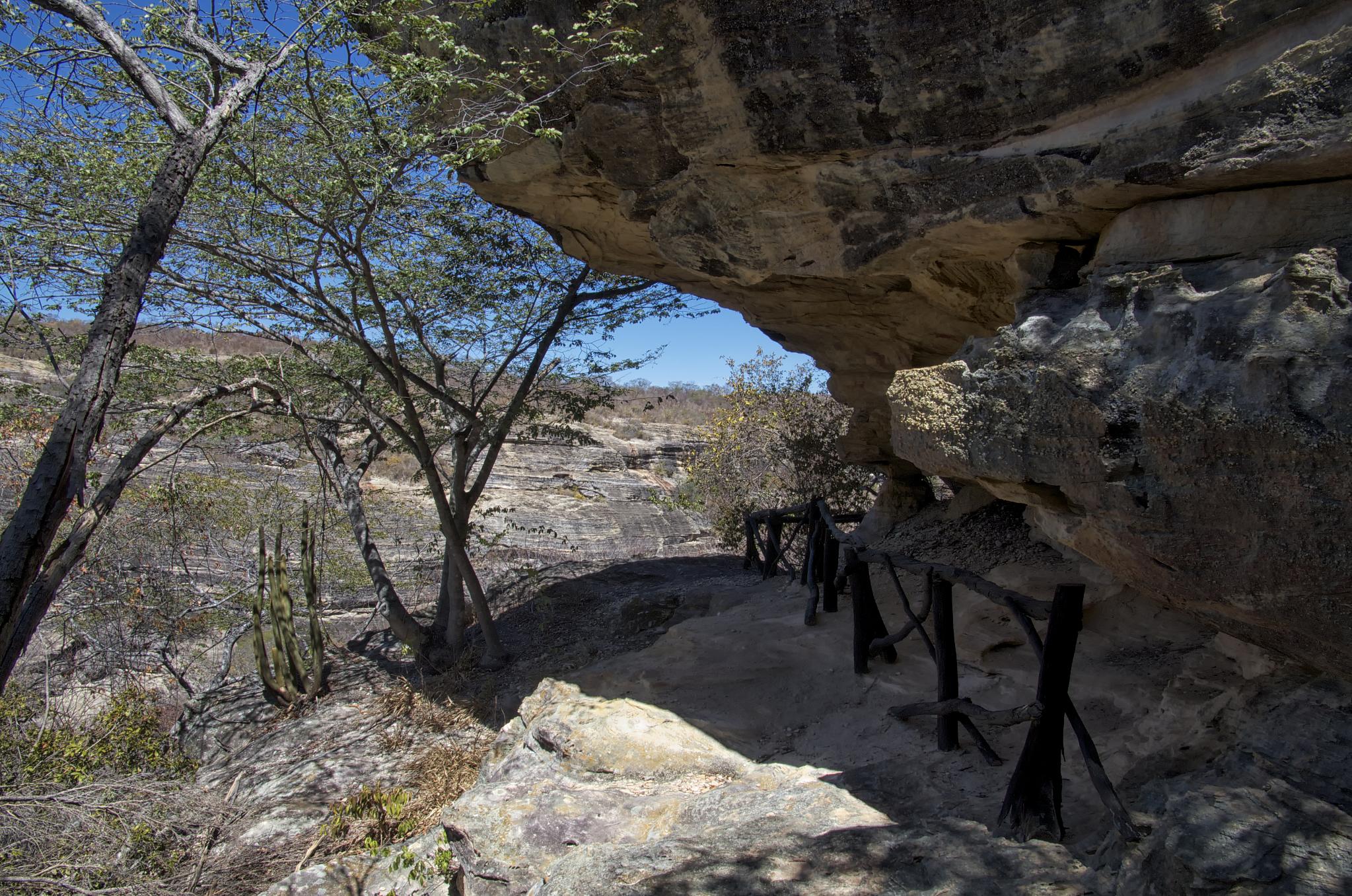 a wooden gate sitting under a tree next to some rocks