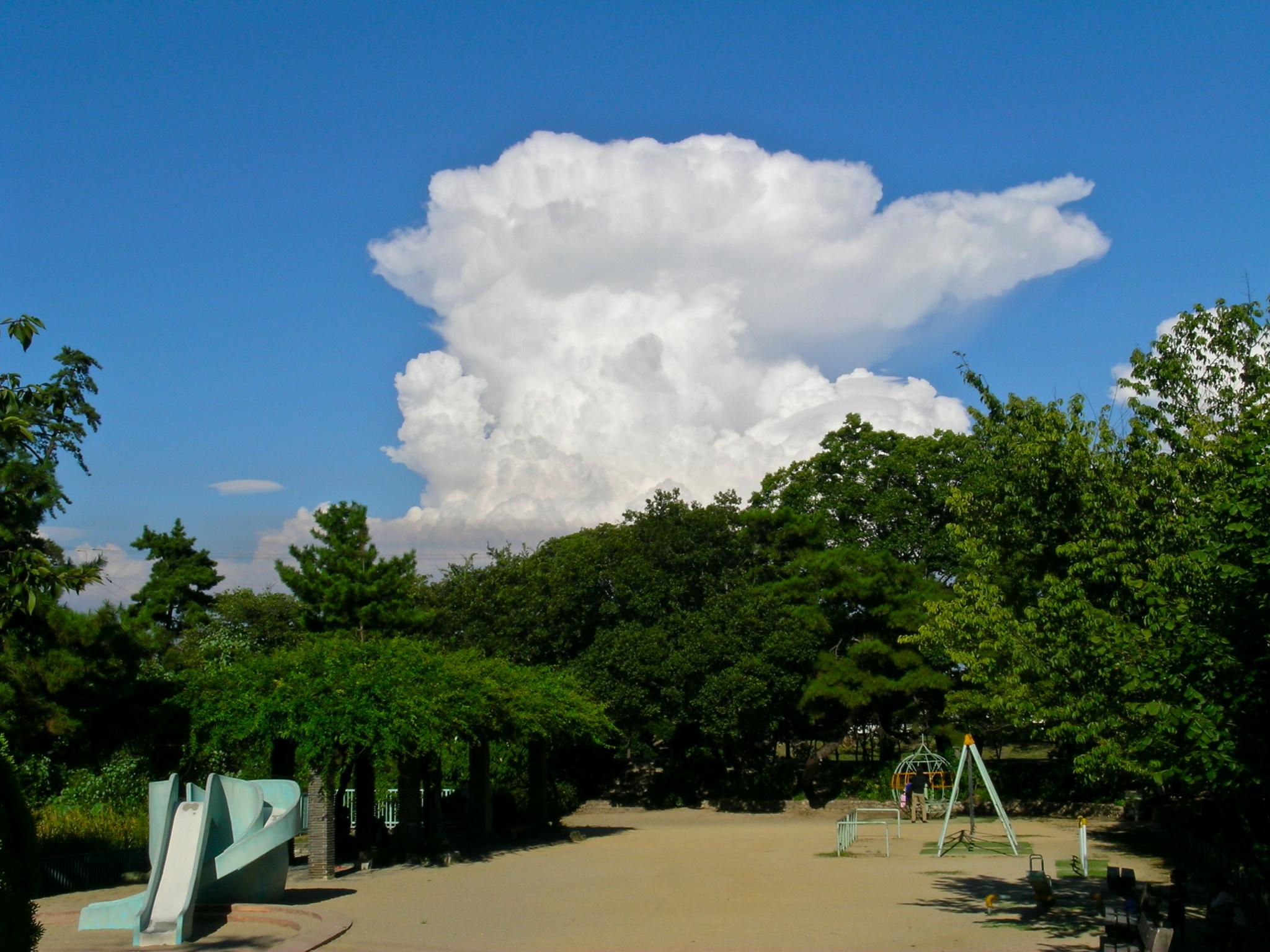 a park with several benches, trees and a sky