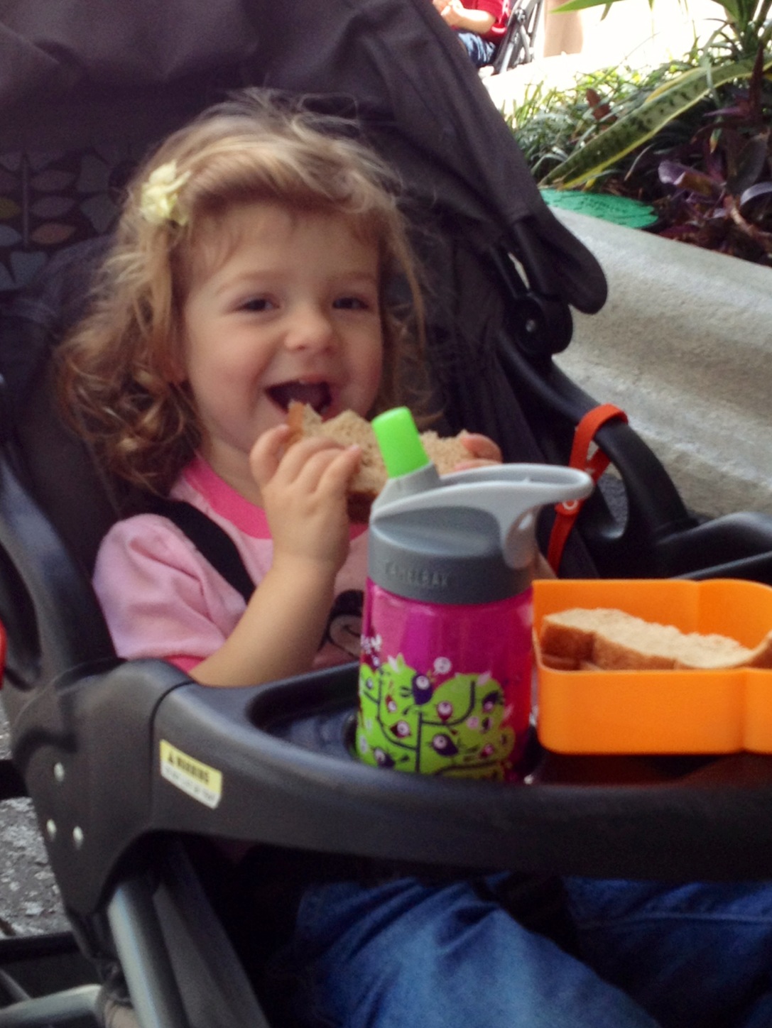 small child in stroller eating food and drinking from cup