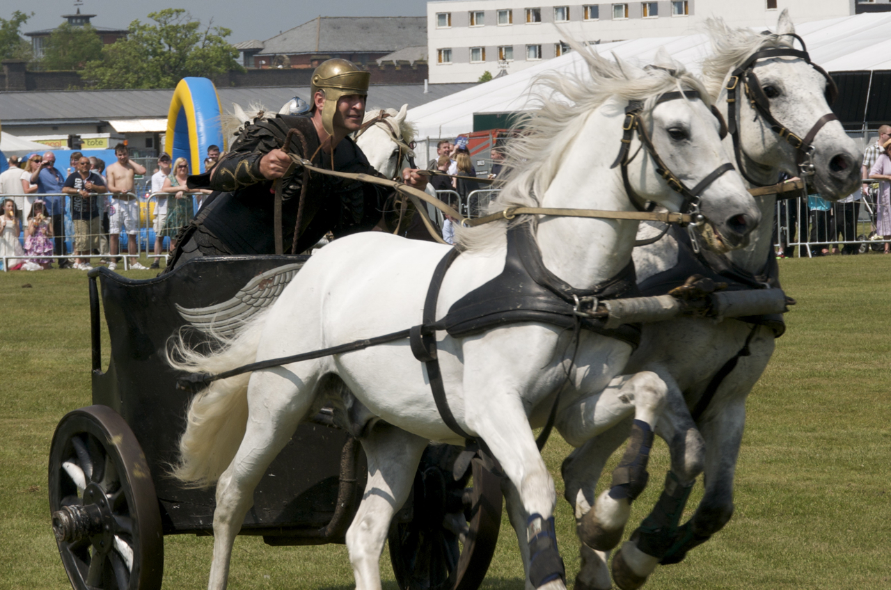 a man riding a horse drawn carriage down a grass covered field