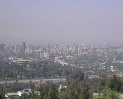a view of a city from a hill, with the trees in the foreground