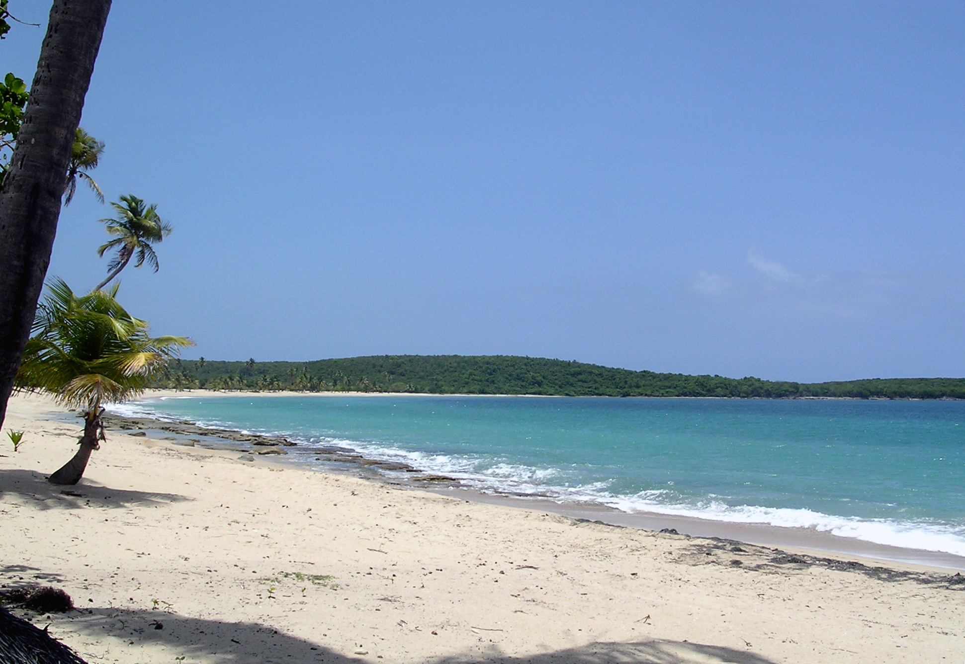 the view from an empty tropical beach with palm trees