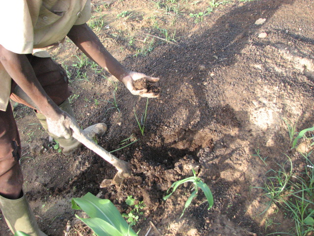 a person is holding a small shovel and digging into the ground