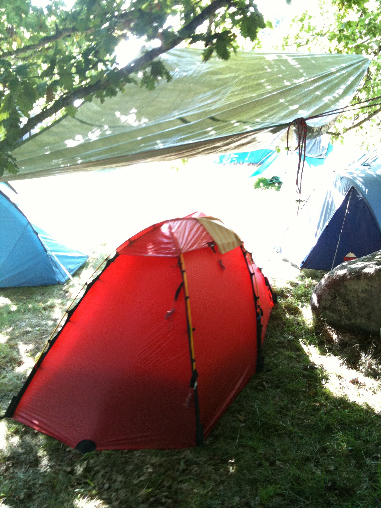 a red and blue tent sitting under a tree