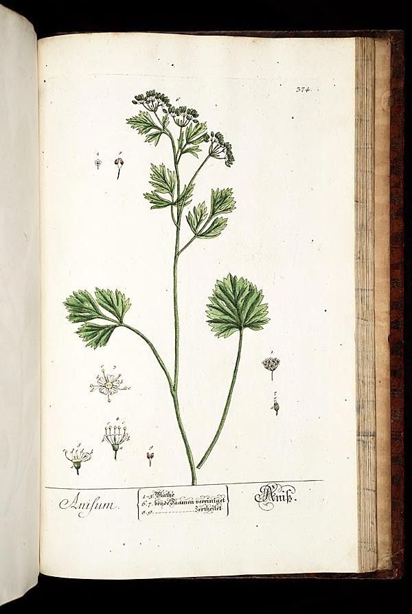 an old book containing several different kinds of flowers