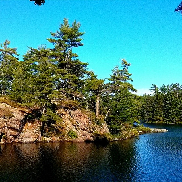 a large pond surrounded by trees and a cliff