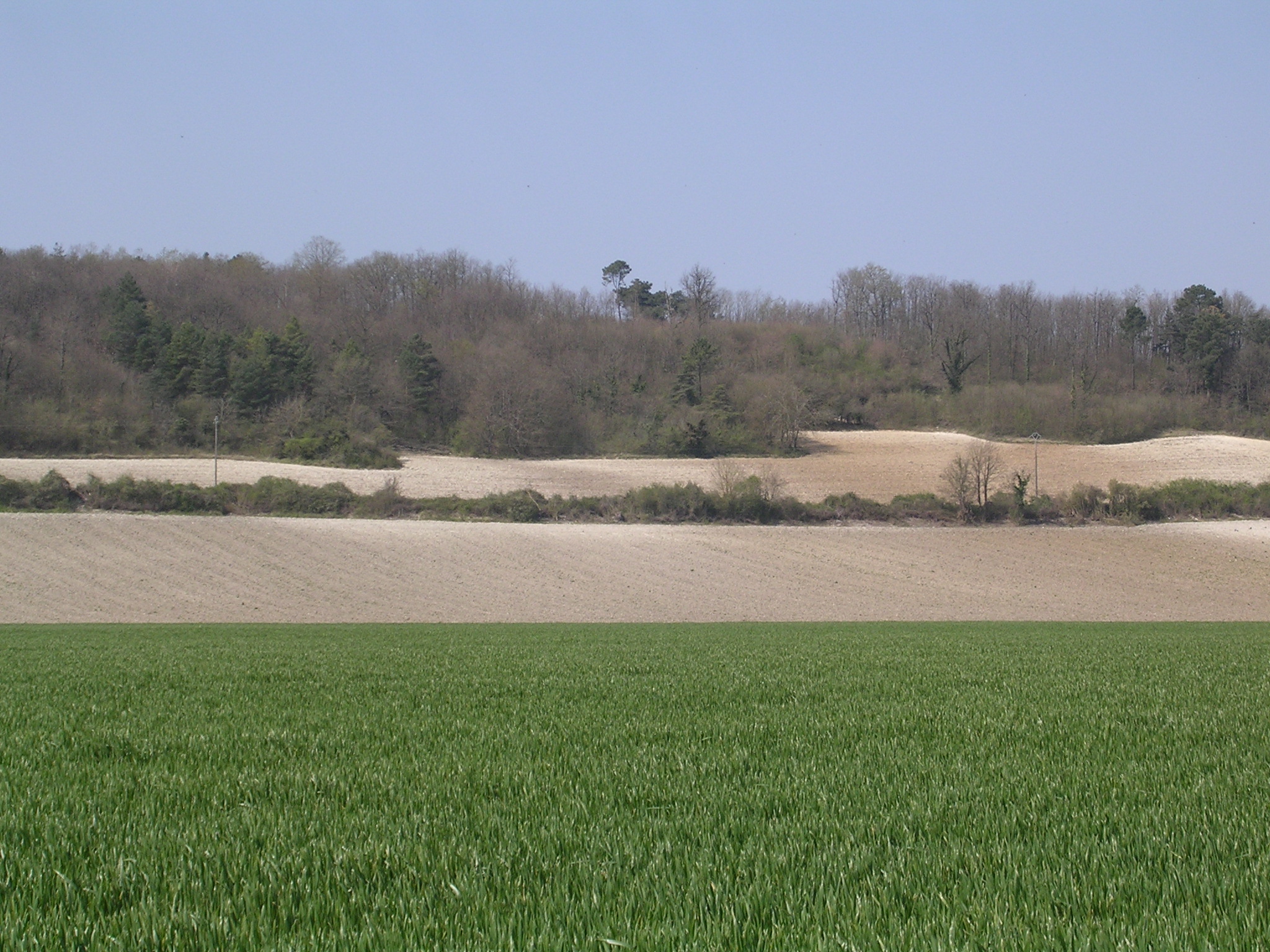an empty field in the middle of a large open area