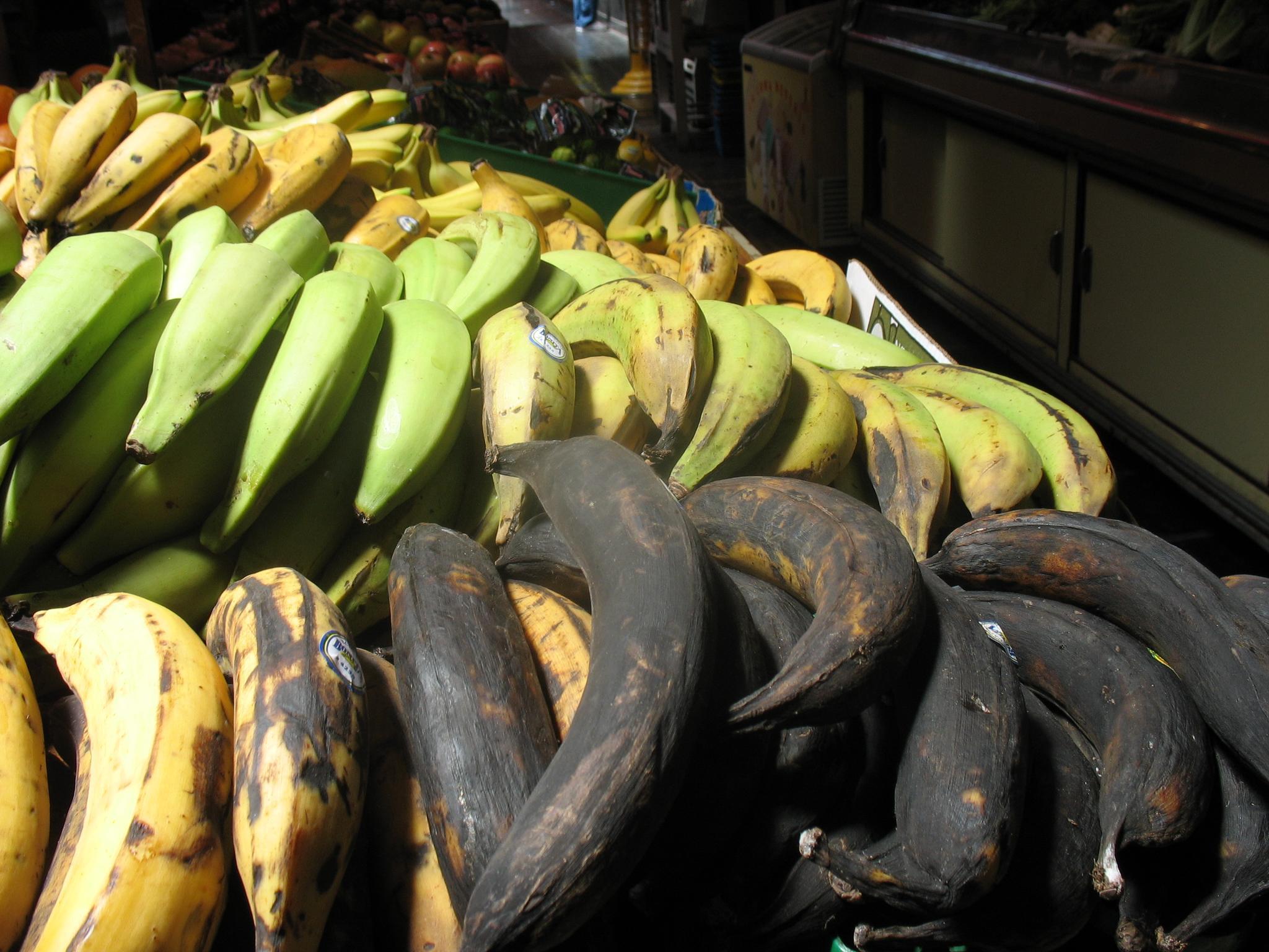 several bunches of bananas sitting in a market