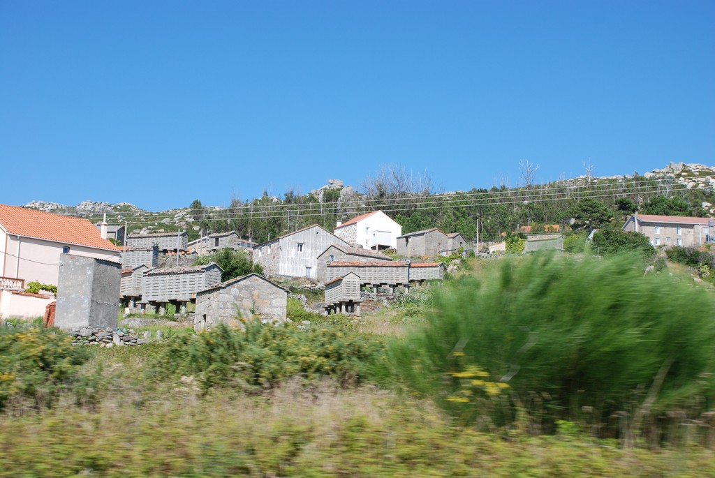 a rural area next to a hillside is covered with weeds