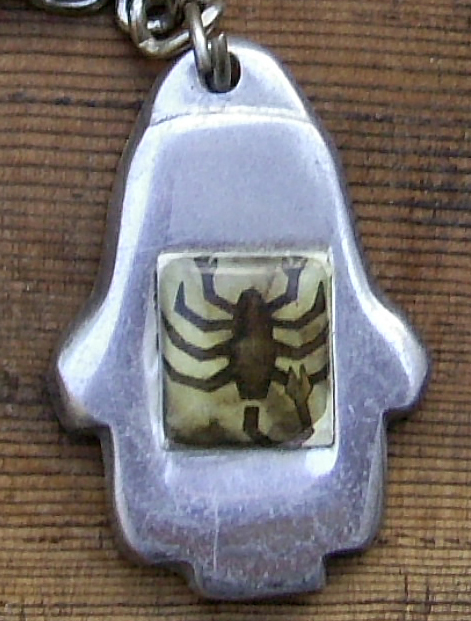 a keychain with an image of a spider in the middle