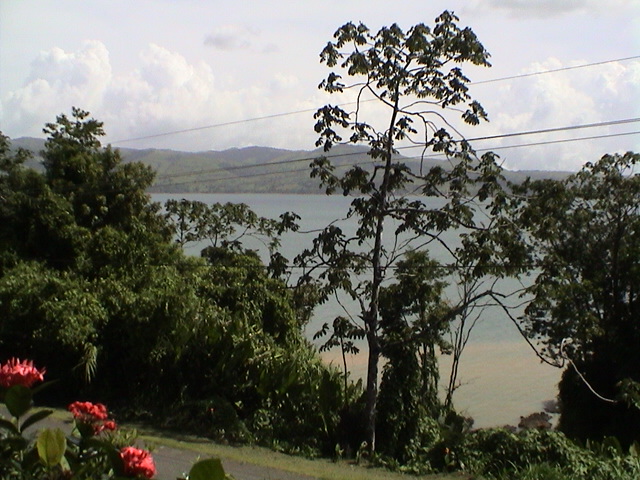 a view of a lake, the sea and trees