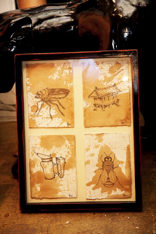 a picture frame with drawings of insect species on them