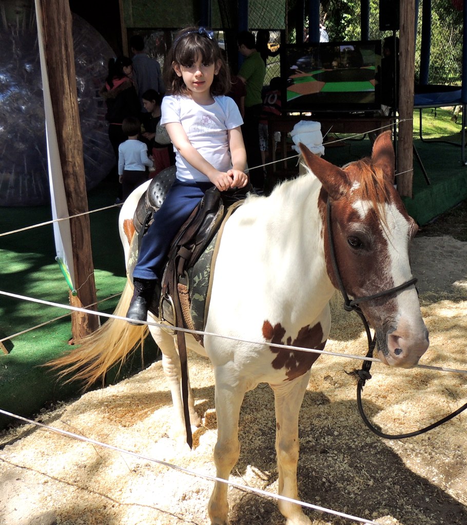 a girl sits atop a miniature horse at the zoo