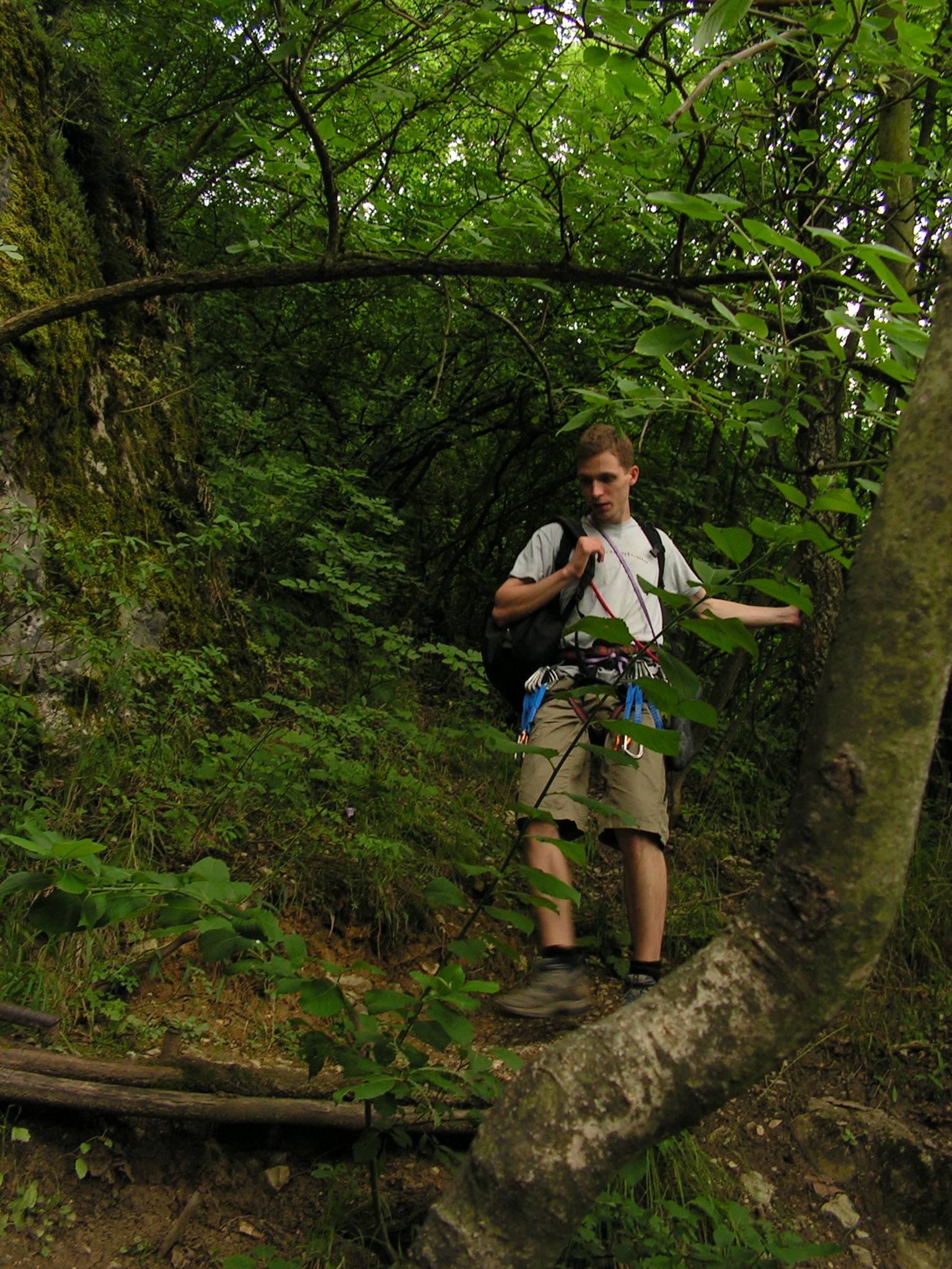 a man in shorts walking up some trees