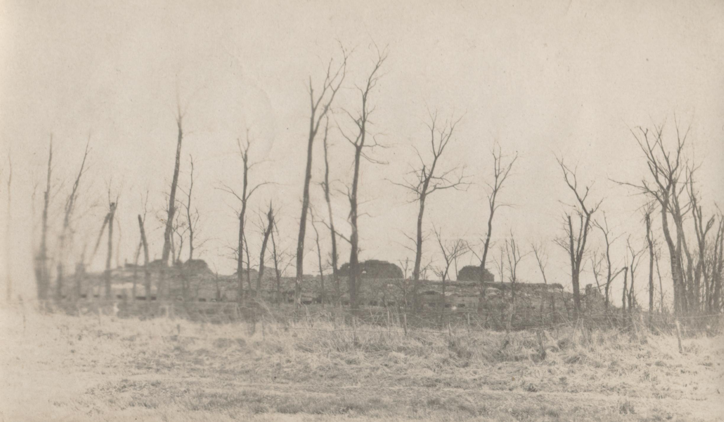 a black and white po of dead trees and farm