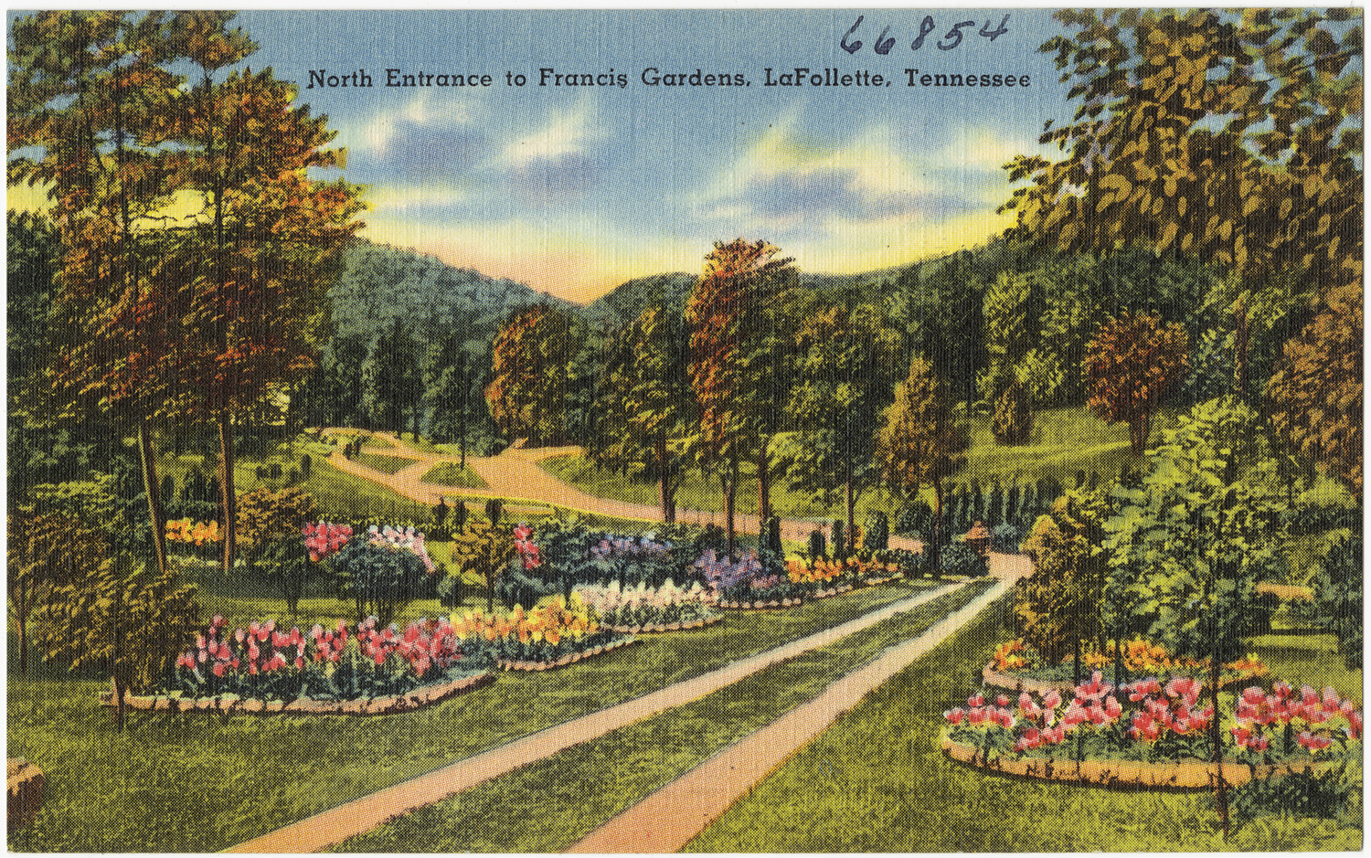 a vintage postcard features a colorful garden